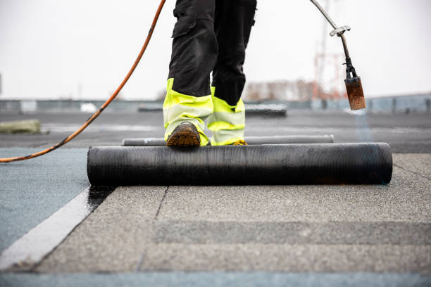 Best Skylight Installation and Repair  in Glencoe, IL